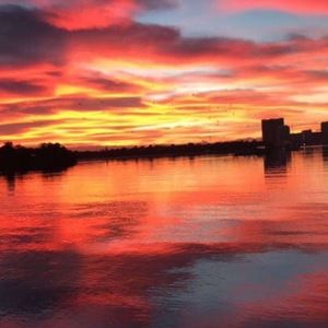 Meet your Posher, Gabby